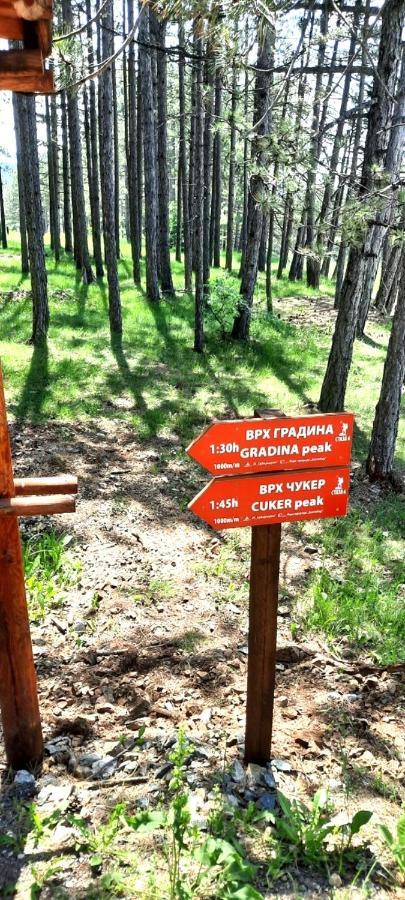 Zlatibor Apartman Jagoda Exteriér fotografie